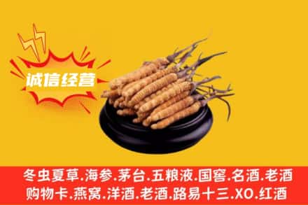 通辽市科尔沁左后回收冬虫夏草